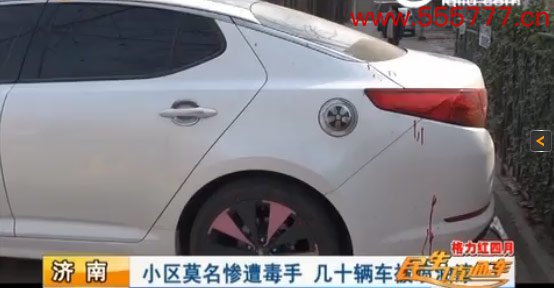 济南一小区几十辆车惨遭毒手 被“神秘人”喷上油漆